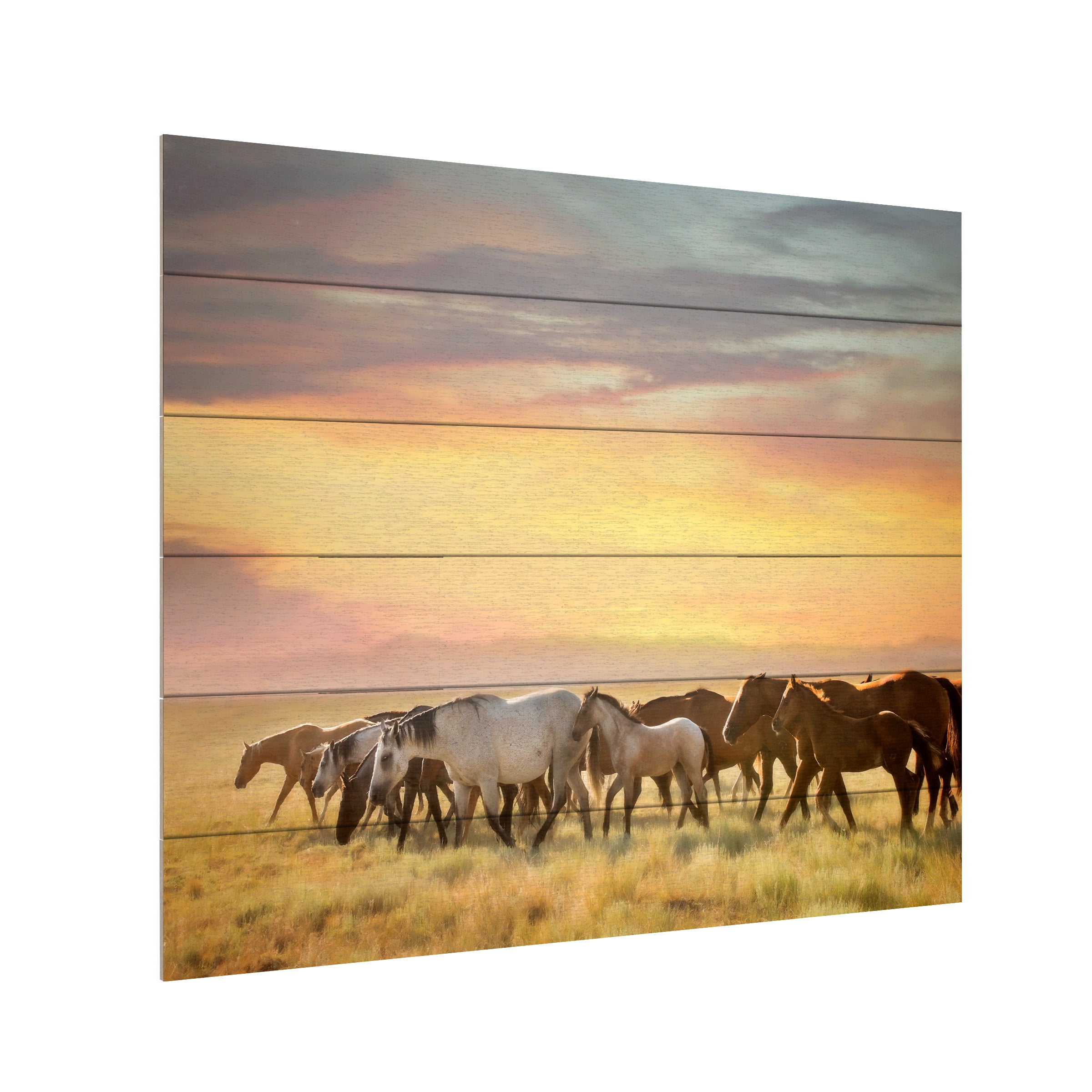 PHBurchett 'Sunkissed Horses I' Wood Slat Art 18x22