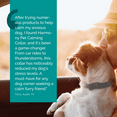 thumbnail image 3 of Vetality Harmony Pet Calming Collar for Dogs 1ct, 3 of 8