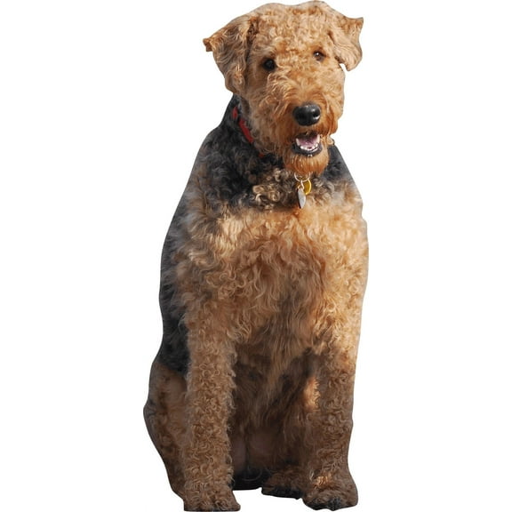 Clark Dog Wall Decal Cutout