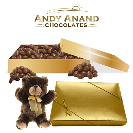 Andy Anand Chocolates Premium California Greek Yogurt covered Raisins Gift Basket & Plush Teddy Bear, All Natural, made from Natural (Best Food Gifts From California)