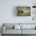 thumbnail image 2 of Sandipan Biswas 'Bison In Morning Light' Canvas Art, 2 of 4