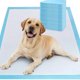 thumbnail image 1 of Almohadilla para pañales para mascotas Almohadilla para pañales para perros engrosada Pañal de papel para mascotas Pañal desechable Pañal para perros Almohadilla para pañales, 1 of 4