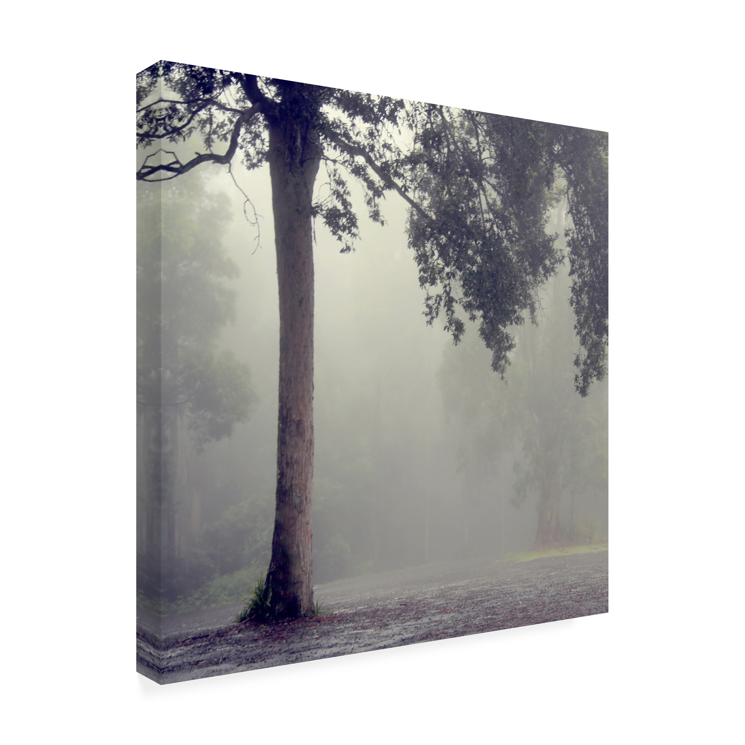 Trademark Fine Art "Where They Hold Hands" Canvas Art by Beata Czyzowska Young