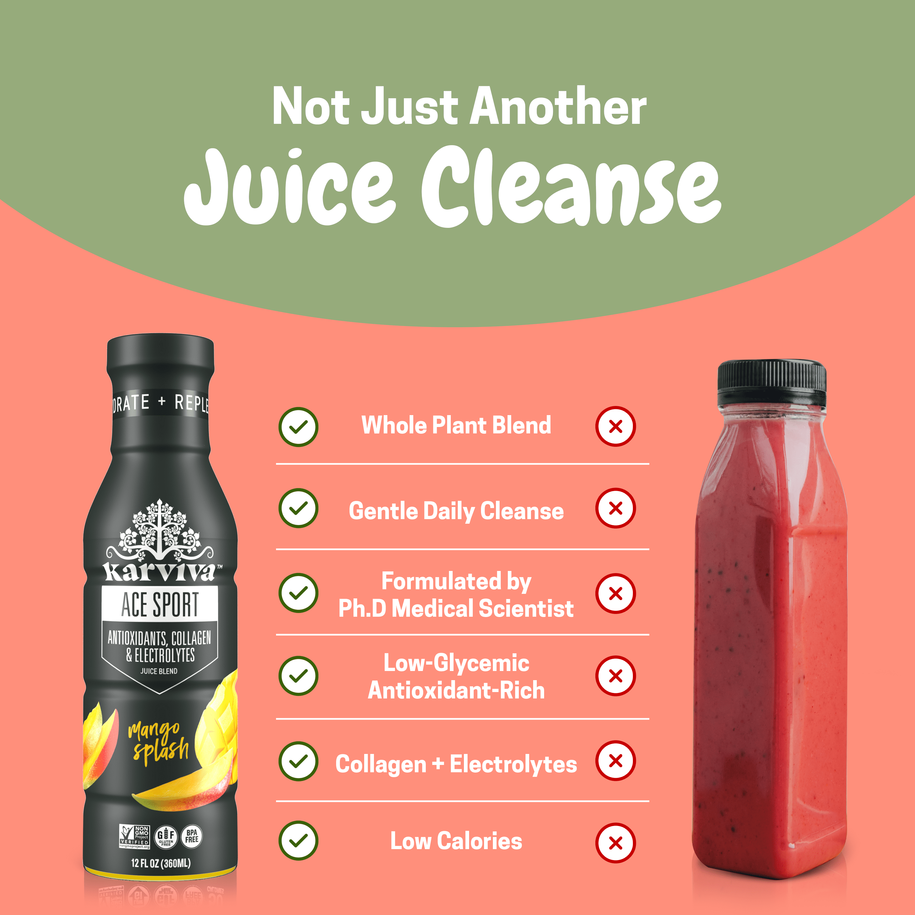 Karviva Organic Detox Juice Cleanse & Immunity Booster Variety Pack, 6 Bottles, 12 fl oz Each, Detox Wellness Drinks