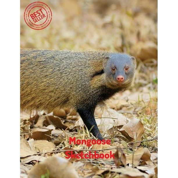 Mongoose Sketchbook Blank Paper For Drawing Doodling Or Sketching 1 Large Blank Pages 8 5 X11 For Sketching Inspiring Drawing Anyt Walmart Com Walmart Com