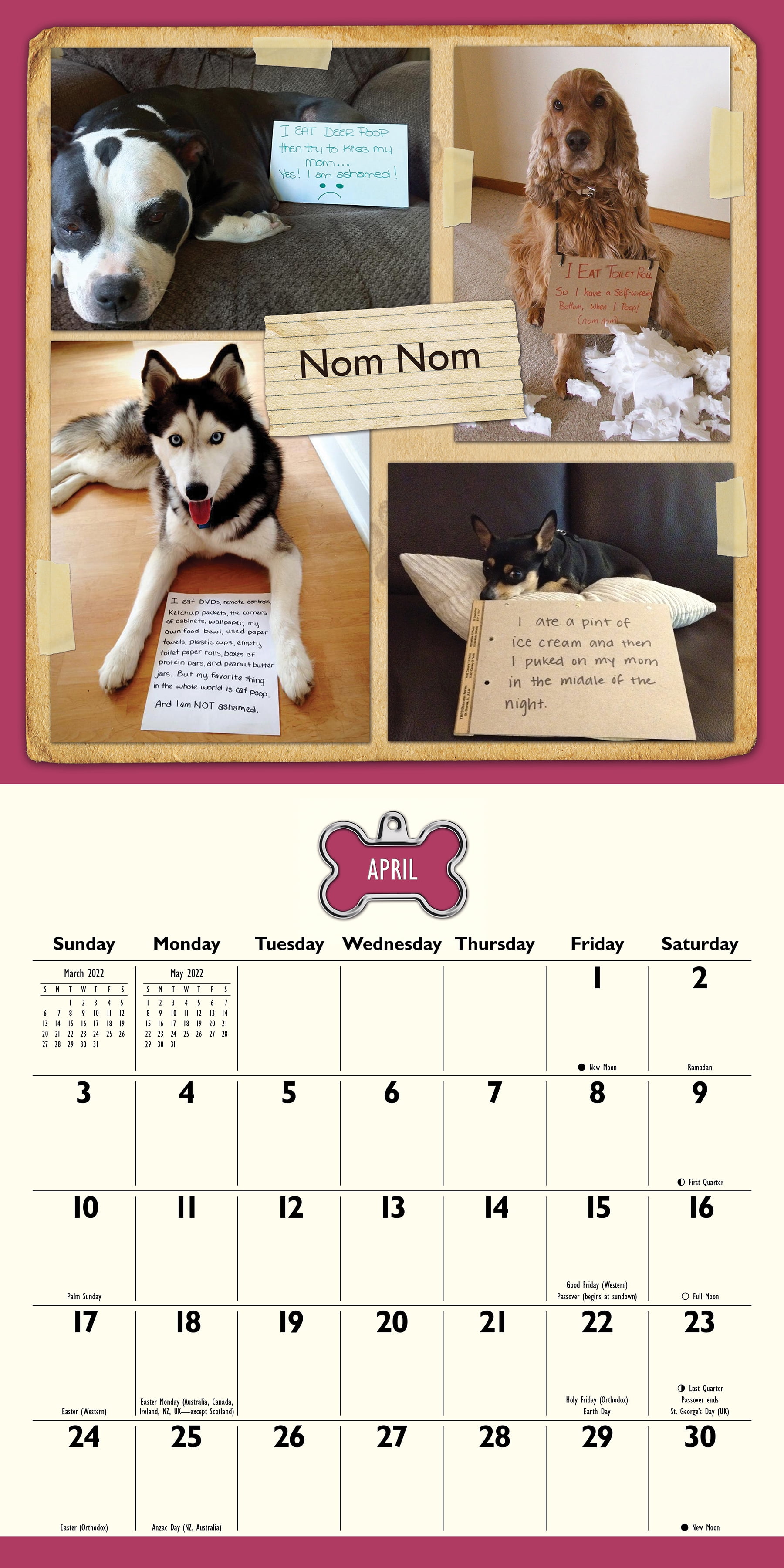 Andrews Mcmeel, 2022 Dog Shaming 12" x 12" - Wall Calendar