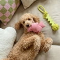 thumbnail image 3 of Oodles Durable Looped Knot Dog Toy Set, Pink and Orange, One Size, 3 of 9