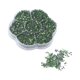 thumbnail image 4 of 14400 piezas de diamantes de imitación brillantes transparentes decorativos accesorios de decoración de uñas para ropa zapatos S601 verde claro, 4 of 5
