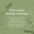 Vine Homecare Lizard Control Spray 32 Ounce Natural, NonToxic Lizard Repellent