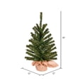 thumbnail image 2 of Vickerman 18" x 12" Wolf Creek Pine Artificial Christmas Tree, Unlit, 2 of 2