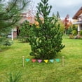 thumbnail image 4 of Estacas de jardinería para paisajismo, borde de propiedad, clavos de acero inoxidable, 10 unidades, 4 of 6