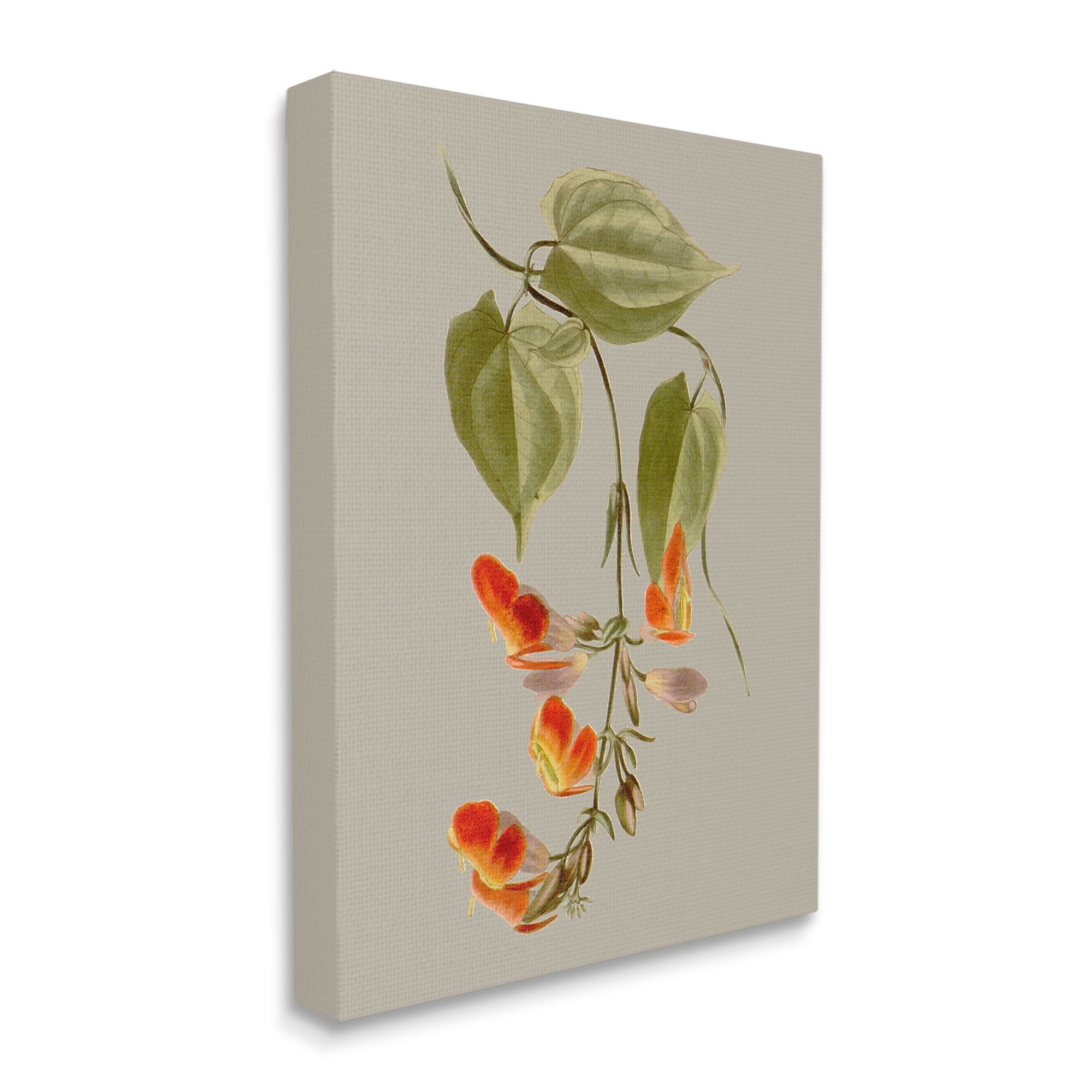 Stupell Industries Vine with Red Blossoms Botanical & Floral Painting Gallery Wrapped Canvas Art Print Wall Art, 24 x 30