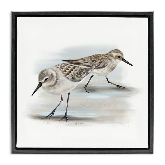 Stupell Industries Sandpiper Pair on Sandy Beach Animals & Insects Drawing Black Floater Framed Canvas Art Print Wall Art, 18 x 18