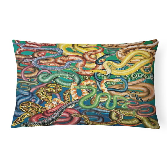 Carolines Treasures PRS4031PW1216 Snakes Canvas Fabric Decorative Pillow  12H x16W multicolor