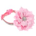 thumbnail image 1 of AURARMLET Collar Para Rosa Con Pedrería Ajustable Ideal Para Fiestas Y, 1 of 6