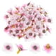 thumbnail image 1 of Uxcell 50-Pack Cabezas de Flores Artificiales, Pequeñas Flores de Seda Falsas para Decoración de Bodas/Guirnaldas/Sombreros/Zapatos/Fiestas, Pétalos de Cereza Falsos [Blanco Rosa], 1 of 1