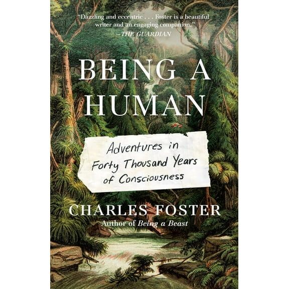 Being a Human: Adventures in Forty Thousand Years of Consciousness, (Paperback)