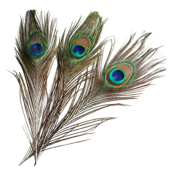 kurtrusly 10 Pcs Peacock Eye Tail Feathers for Craft Mask Hat 9-13 Inch