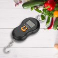 thumbnail image 2 of Portable LCD Display Digital Fishing Hanging Scale Electric Fishing Weighing Scale for Fishing Postal Parcel Kitchen Home, 2 of 5