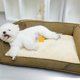 thumbnail image 2 of Puppy Indoor Home Dog Bed Accessories Kennel Canil Enclose Dog Bed Camping Cat Shop Furniture Casa Perro Pet Products MR50DH ShopWise Round, 2 of 8