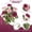 Rose Red + Pink Edge, variant on Artificial Hanging Flowers, 7 Pronged Morning Glory Flowers, Outdoor Flowers, Realistic Hanging Flowers, Faux Morning Glory for Porch, Bouquet for Yard, Silk Fake Morning Glory 11.42×19 in,Purple