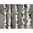 thumbnail image 2 of Charest, Doris 14x12 Gold Ornate Wood Framed with Double Matting Museum Art Print Titled - Birch Backwoods, 2 of 4