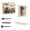 D, variant on 1PC A Minibee Dinosaur Digging Kit Archaeology Science Set with Excavation Tools for Educational STEAM Activity