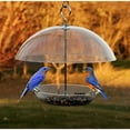 thumbnail image 3 of Woodlink NABBFDR Dome Top Seed & Bluebird Bird Feeder, 3 of 4