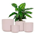 thumbnail image 2 of Classic Pink Planter, 2 of 3