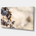 thumbnail image 2 of Beautiful Grass Covered with Ice - Floral Canvas Art Print, 2 of 3