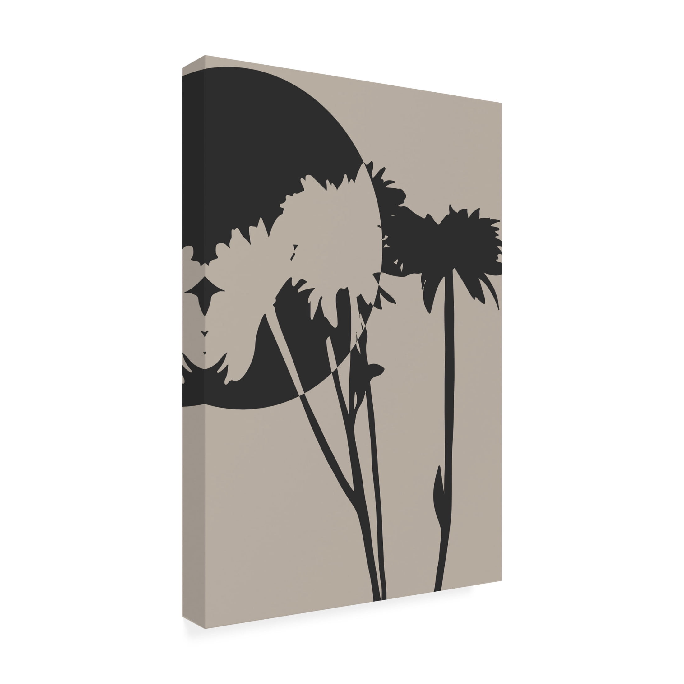 Trademark Fine Art Eda Unsoy  Abstract Flower 01 Canvas Wall Art