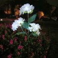 thumbnail image 4 of Luces solares para exteriores, luces de colores, luces de hortensias para decoración de patios, decoración de jardines., 4 of 5