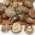 thumbnail image 4 of 2 Pounds Dried Flower Mushroom,Dried Shiitake Mushrooms for Cooking,Dry Fresh Vegan No Fumigation Sulfur Premium Grade, 4 of 6