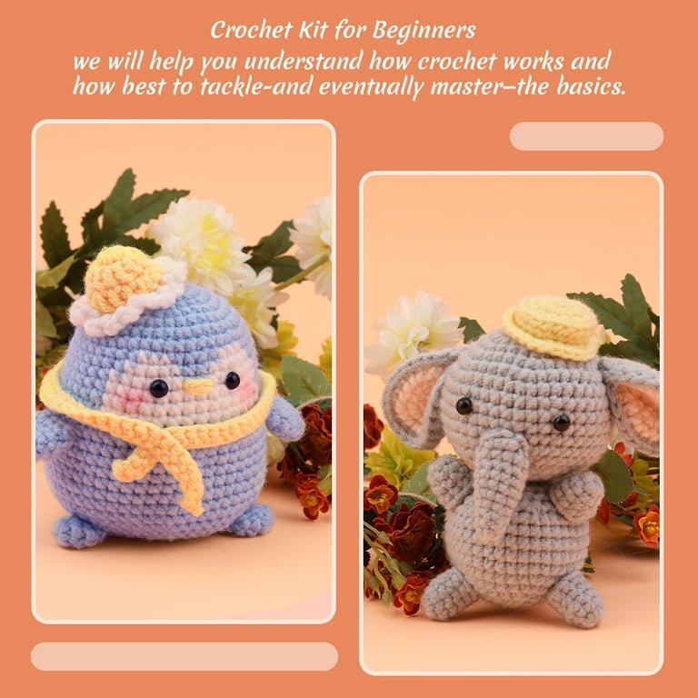 FTUREERA Beginner Crochet Kit for Kids and Adults, 4PCS Crochet Animal  Starter Kit for Beginners Include Videos Tutorials, Yarn, Eyes, Stuffing