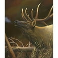 thumbnail image 3 of Stans, Leo 12x14 Black Modern Framed Museum Art Print Titled - Elk Portrait I, 3 of 5