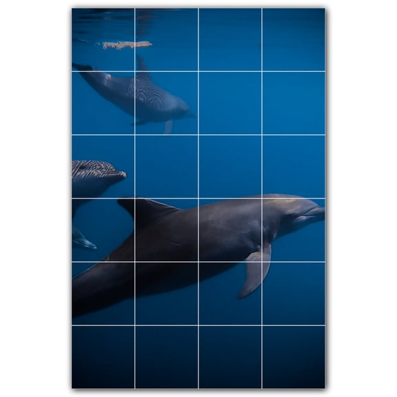 Picture-Tiles.com: Dolphin Ceramic Tile Wall Mural WAL500499-46M. 24"W x 36"H using (24) 6" x 6" Ceramic Tiles-Satin Finish
