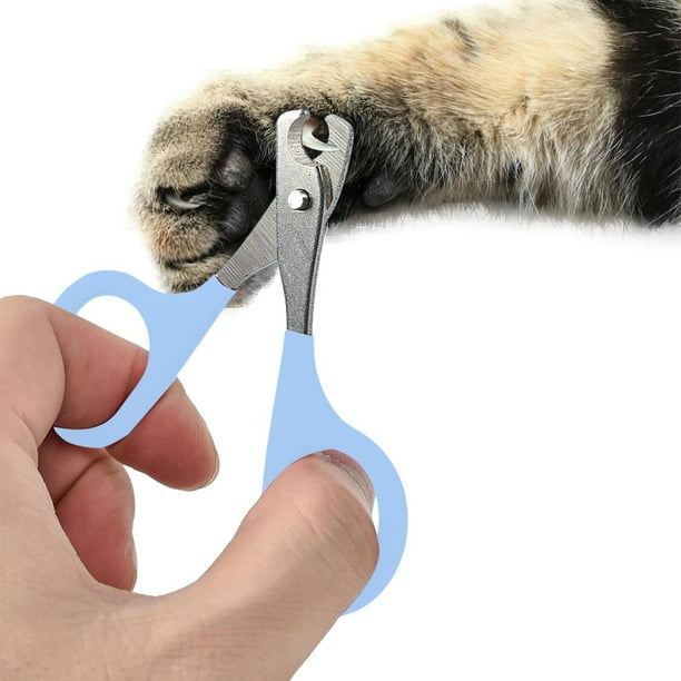 Can you use dog shop nail clippers on guinea pigs