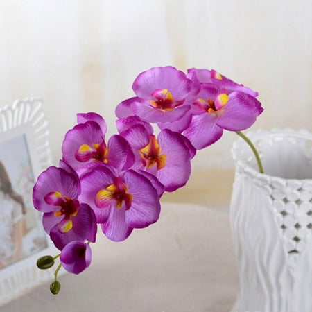 Maynos 7 Flowers 27.5 Inches Artificial Butterfly Orchid Branch Home Office Wedding Decoration Diy Landscaping Decoration Single Flower 3.5 Inches In Diameter Dark Purple Description: Material: Clothes+Plastic Color: White/Pink/Blue/Green/Dark Purple/Light Purple Size: Bouquet total length: 70cm Flowers length: 9cm Quantity: 1 x Flower(7 flower heads) Very beautiful butterfly orchid. The flowers are miniature please check the flower size above carefully. Note: 1.Due to the difference between different monitors the pictures may not reflect the actual color of the item. 2.Please allow 0-1 cm error due to manual measurement. Package included: 1 x Artificial Flower Keywords: silk flowers hydrangea silk flowers silk flowers with stems silk flowers in bulk wholesale clearance silk flowers in vase white silk flowers silk flowers for crafts silk flowers christmas blue silk flowers red silk flowers white hydrangea silk flowers red hydrangea silk flowers blue hydrangea silk flowers pink hydrangea silk flowers hydrangea silk flowers in vase hydrangea silk flowers with stems hydrangea silk flowers arrangement hydrangea silk flowers bulk hydrangea silk flowers arrangement in vase silk flower arrangements silk flower arrangements in vases silk flower arrangements for home decor large silk flower arrangements silk flower arrangements christmas silk flower arrangements for cemetery silk flower arrangements for table silk flower arrangements with vase silk flower arrangements with led lights silk flower arrangements centerpieces christmas silk flowers with stems silk flowers with stems for vase white silk flowers with stems red silk flowers with stems silk flowers with stems in bulk wholesale clearance silk flowers with stems fall colors silk flowers with stems bouquet silk flowers with stems bulk silk flowers with stems blue silk flowers in bulk wholesale clearance christmas silk flowers in bulk wholesale clearance blue silk flowers in bulk wholesale clearance greenery silk flowers in bulk wholesale clearance purple silk flowers in bulk wholesale clearance coral silk flowers in bulk wholesale clearance peony silk flowers in bulk wholesale clearance outdoor silk flowers in bulk wholesale clearance yellow roses silk flowers in bulk wholesale clearance red silk flowers in vase for home decor silk flowers in vase with water