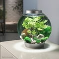 thumbnail image 3 of biOrb Summer Aquarium Décor Set, 3 of 9