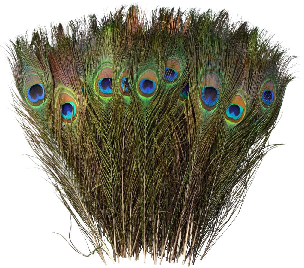 Wedding Holiday Decorationn and Floral Arrangement Ballinger 30pcs Natural Peacock Feathers Long Pole Bulk 32-35 inch for DIY Craft 