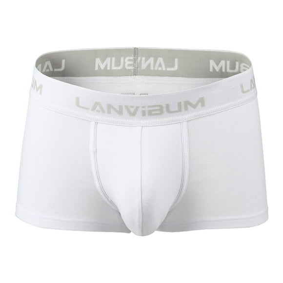 Ketyyh-chn99 Mens Thongs Underwear Men's Fashion Boxer Shorts Performance Underwear Boxer Briefs Soft Comfortable White,L