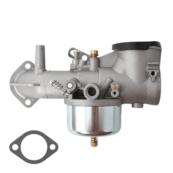 SEBLAFF Carburetor for Briggs&Stratton 220700 251700 393410 393302 396501 391788