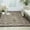 Ivory/Charcoal, variant on Nourison Caribbean Indoor/Outdoor Charcoal 9'3" x 12'9" Area Rug, (9x13)
