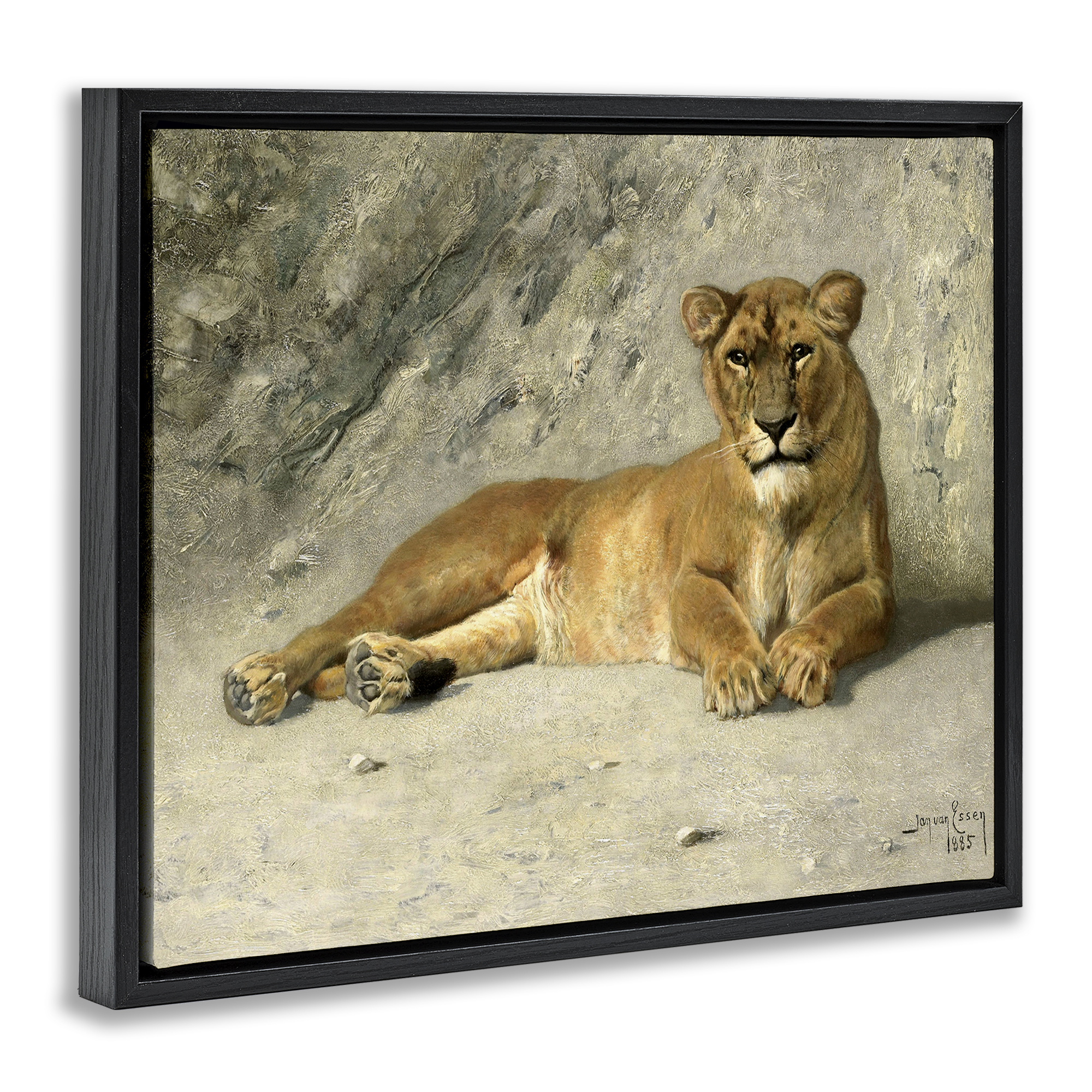 Stupell Industries Protective Wild Lion Animals Photography Black Floater Framed Canvas Art Print Wall Art, 31 x 25