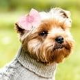 thumbnail image 1 of FENGGUIQU 30Ud Para De Mascotas Multicolor Accesorios Para Perros Y Adorable Y Resistente, 1 of 6
