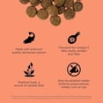 thumbnail image 2 of Adult - Weight Management & Joint Care - Salmon Recipe for Dogs, 2 of 5