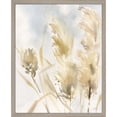 thumbnail image 1 of Great Art Now Pampas Grasses III by Katrina Pete, Framed Wall Art, 17W x 21H, 1 of 3