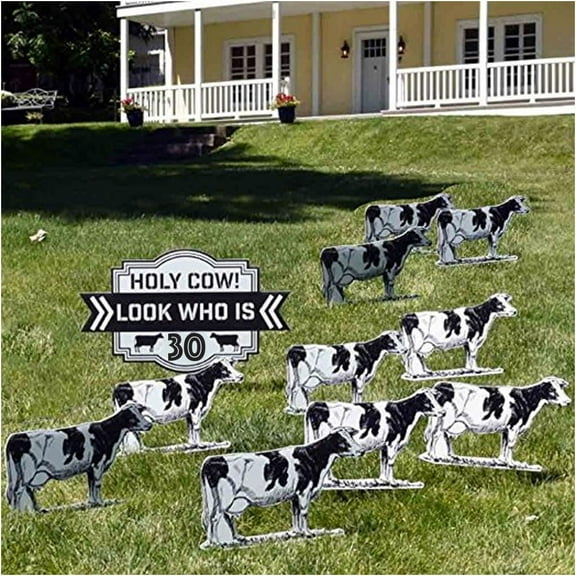VictoryStore Birthday Yard Decoration - Holy Cow! Look Who Is 30 (Set of 11 W/12 Short Stakes)