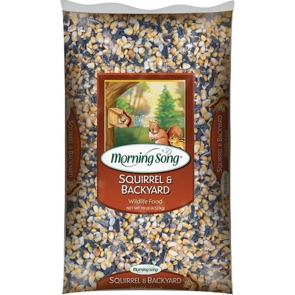Morning Song Squirrel and Backyard Wildlife Food - Seeds - 10-Pound