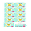 Flushable Butt Wet Wipes for Adults and Children Aloe Vera Scented 480 Wipes 10x